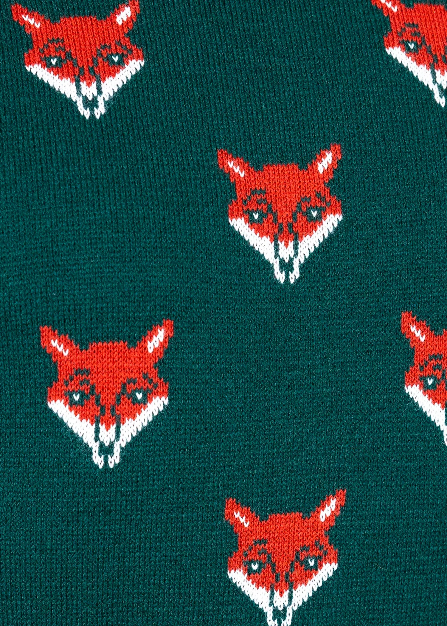 Run & Fly - Green Fox Head Jumper