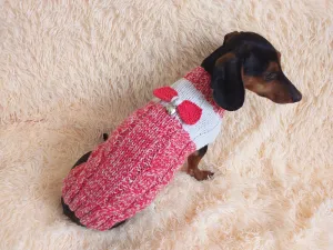 Size L Sweater for mini dachshund with bow,cloches for dachshund or small dog