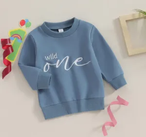 Wild One Kids Blue Crew Neck Sweater, Perfect 1st Birthday Gift, Wild Child Sweater, Baby Sweatshirt Party Outfit